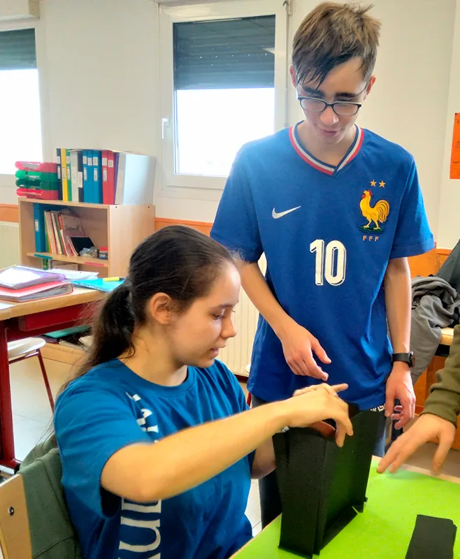 Colegio Gaudem Programas Profesionales